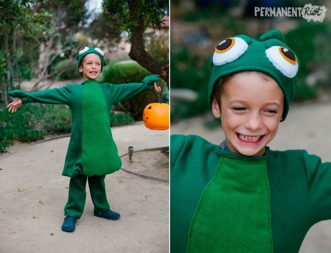 Toddler Pascal Tangled Costume